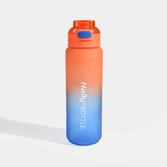 Character Water Bottle for Kids