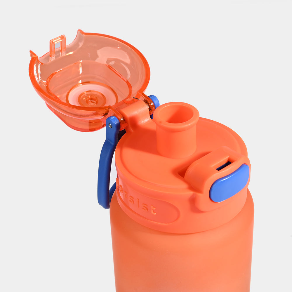 Character Water Bottle for Kids