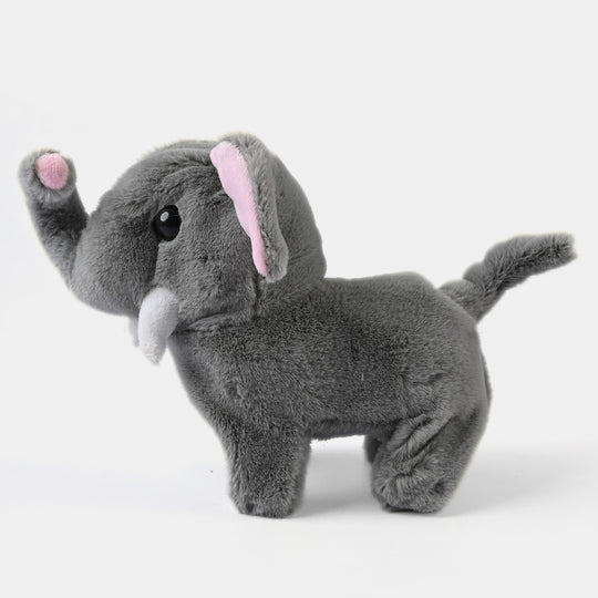 Pet Animal For Kids