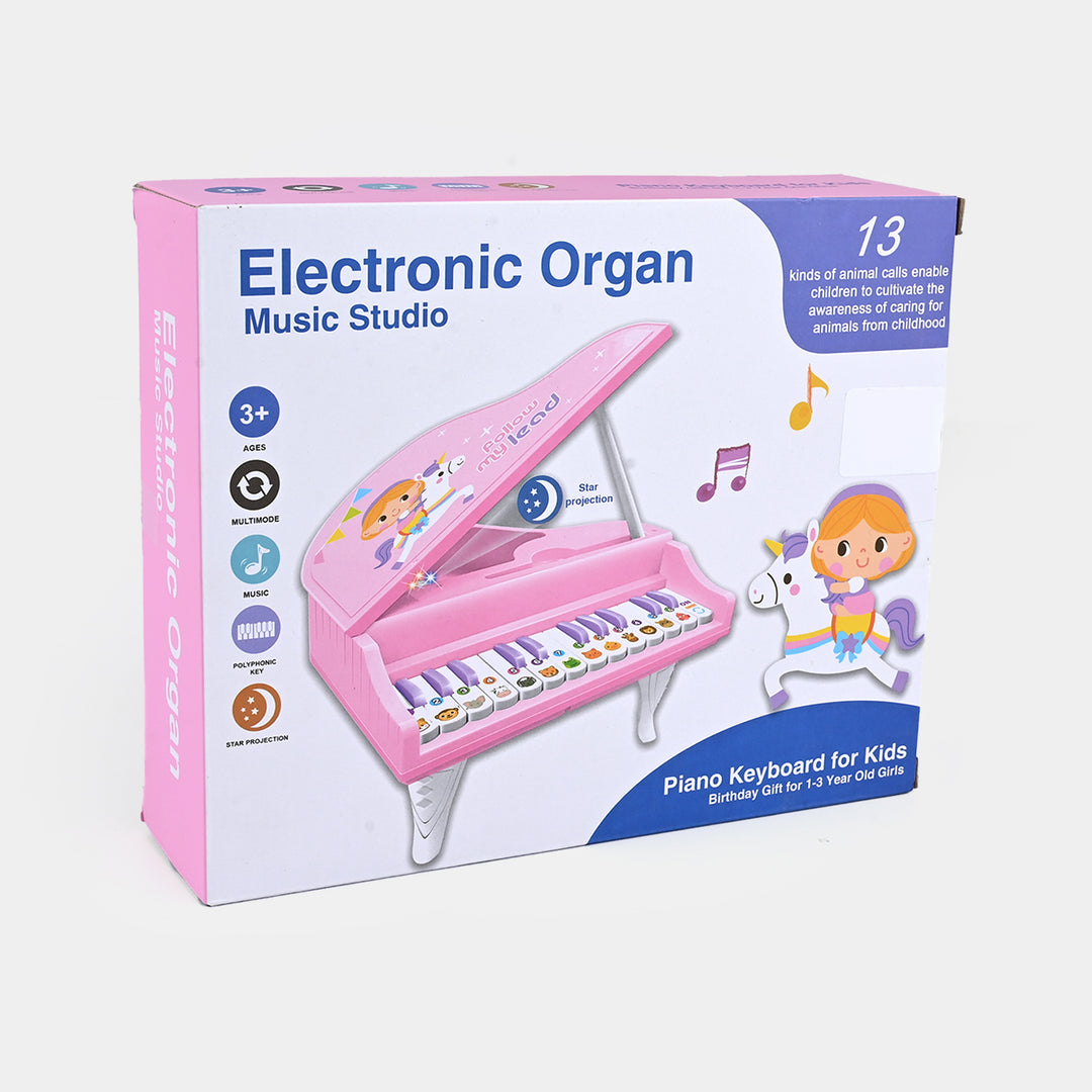 Electronic Organ Music Studio