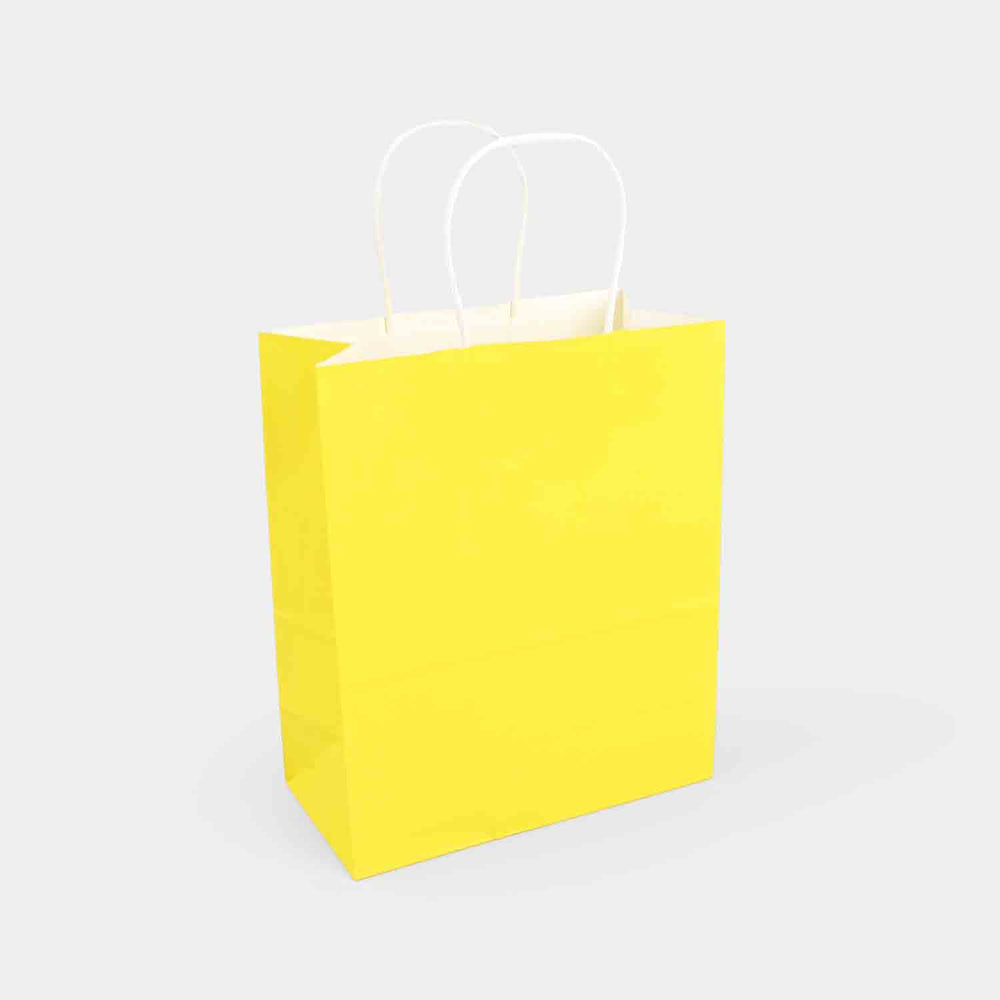 Gift Paper Bag | Large