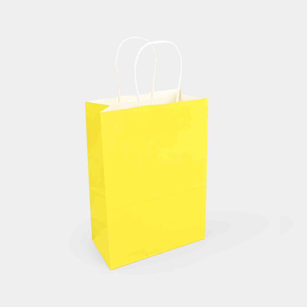 Gift Paper Bag | Large