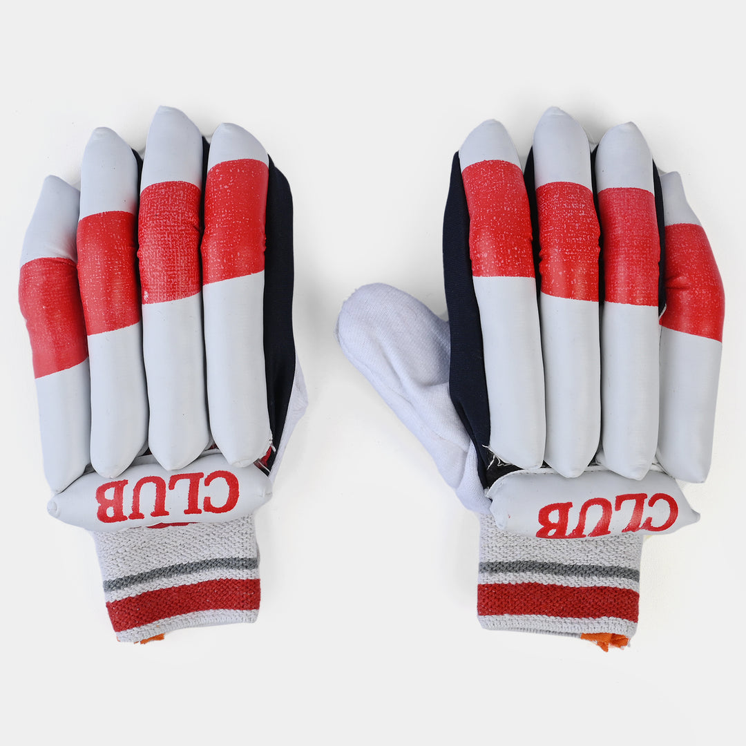 Cricket Batting Gloves