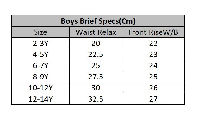 Boys Cotton Jersey Basic Brief-Pack 0f 2-White