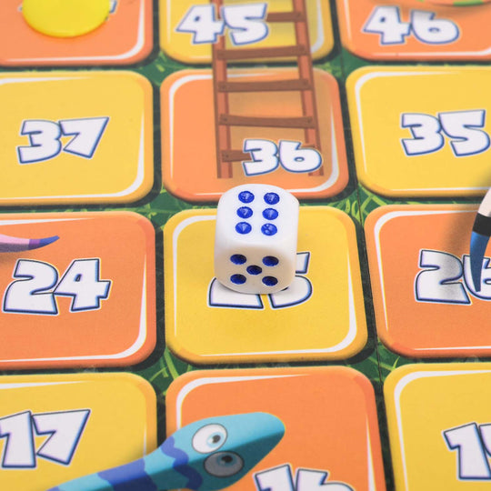 Snake And Ladders Magnetic Board Game