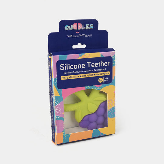 Soft Fruit Twins Color Silicon Teether