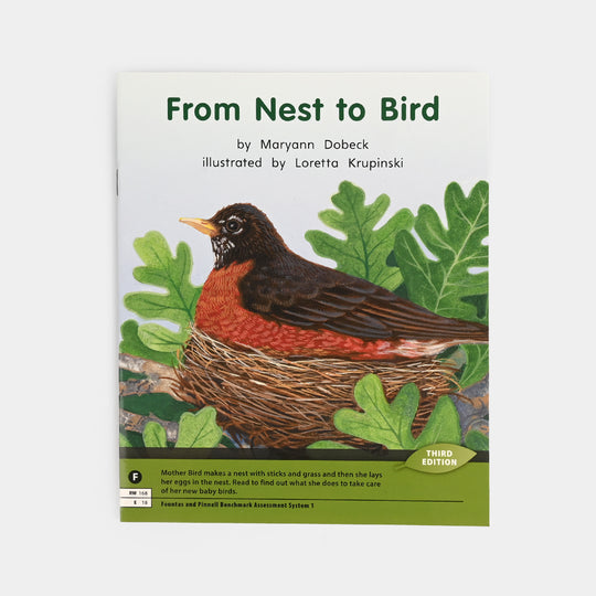 From Nest to Bird Story Book