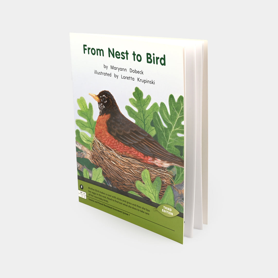 From Nest to Bird Story Book