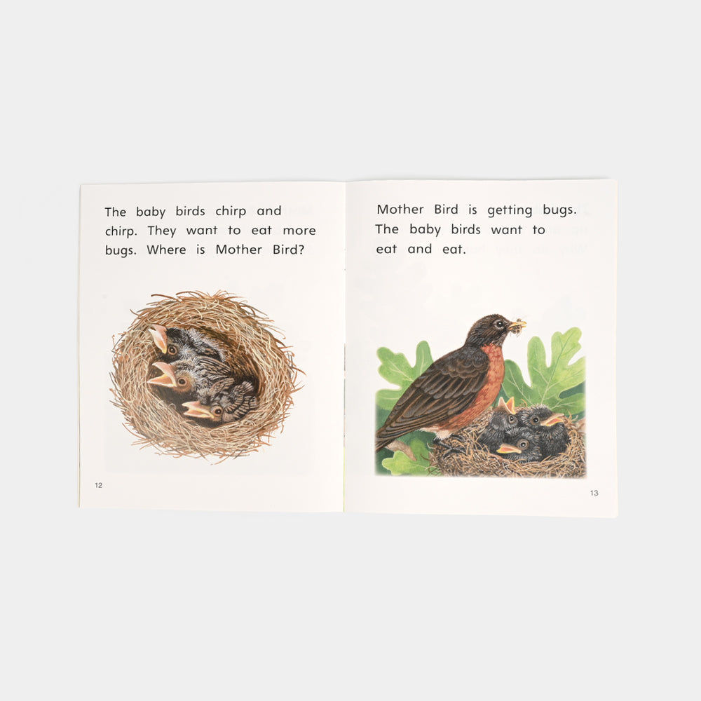From Nest to Bird Story Book
