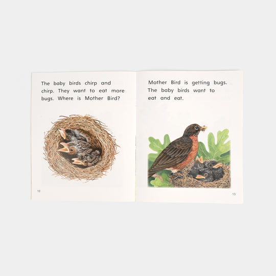 From Nest to Bird Story Book