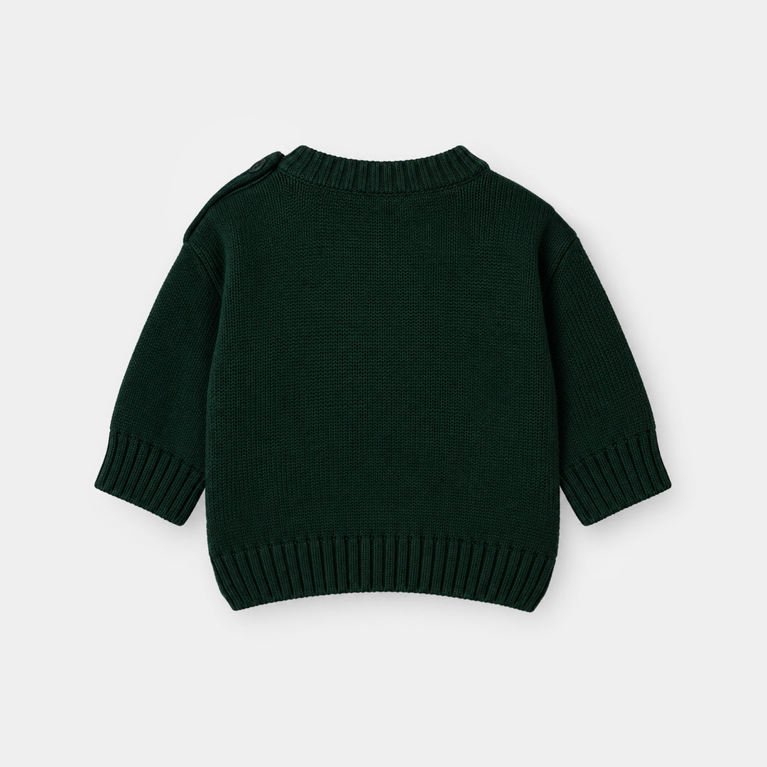 Infant Boys Cotton Sweater Mr Forest - Dark Green