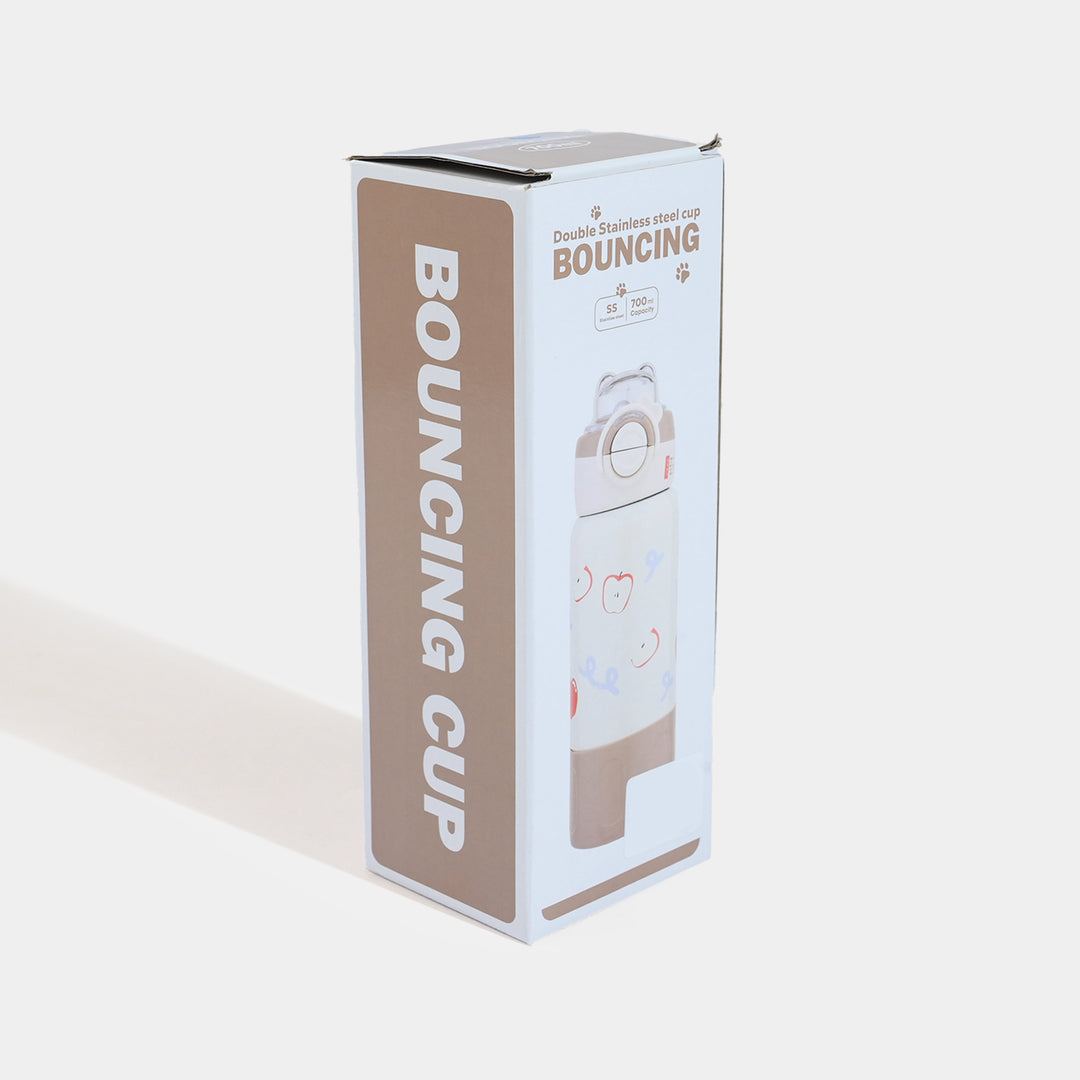 Stainless Steel Water Bottle | 700ml