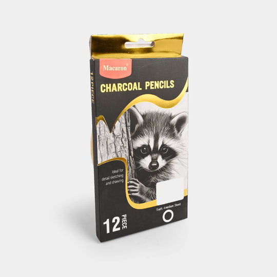 Charcoal Pencils Professional Set | 12PCs