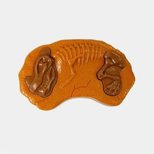Dinosaur Remote Control Toy For Kids