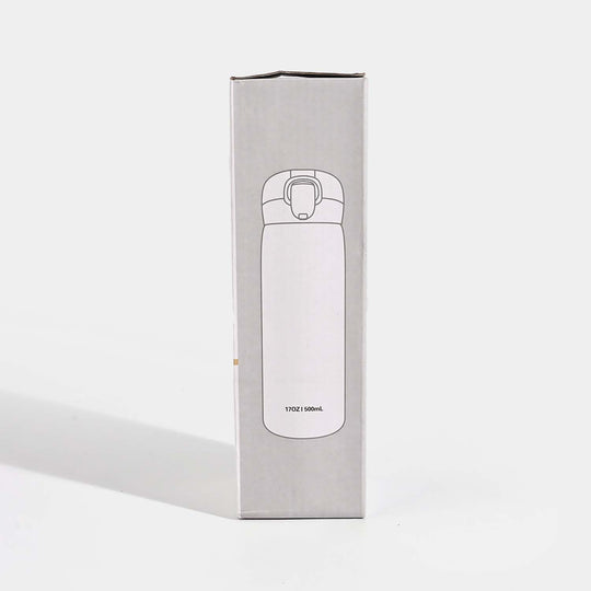Stainless Steel Water Bottle for Kids