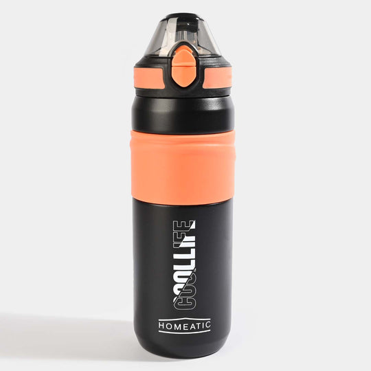 Stainless Steel Water Bottle for Kids | 650ml