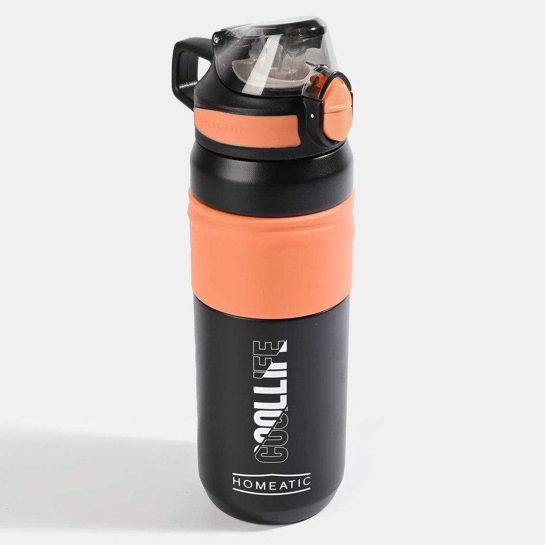 Stainless Steel Water Bottle for Kids | 650ml