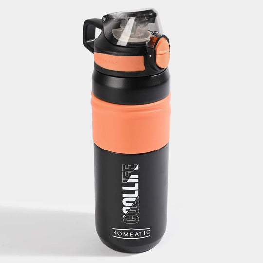 Stainless Steel Water Bottle for Kids | 650ml