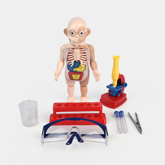 STEM Experiment Science Doctor Toy Educational Kit