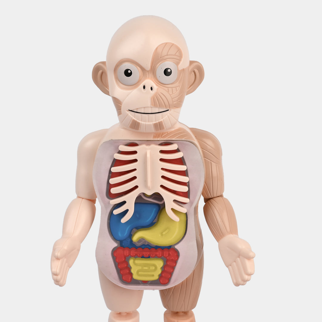 STEM Experiment Science Doctor Toy Educational Kit