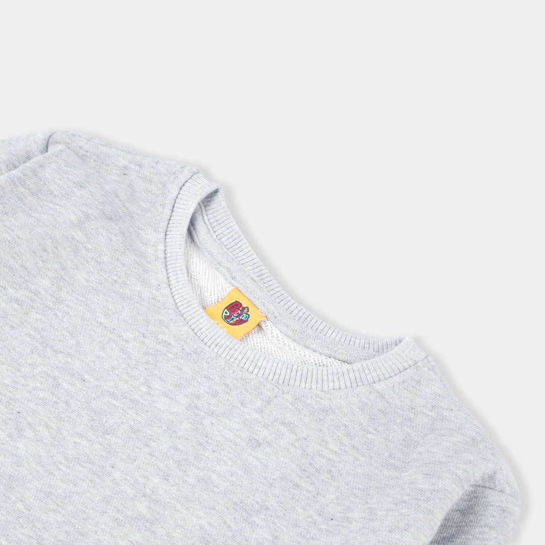 Boys Fleece Sweatshirt - H. Grey