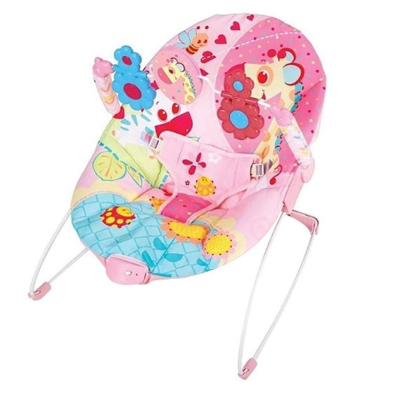 Soothing Vibrations Baby Bouncer