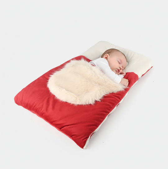 Baby Carry Nest | 0M+