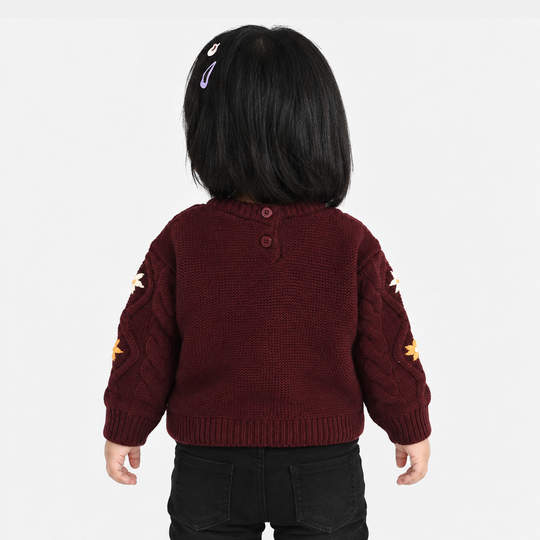 Infant Girls Acrylic Sweater-Fern-MAROON