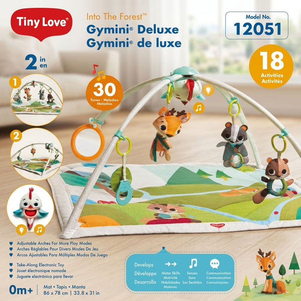 2-in-1 Baby Activity Gym