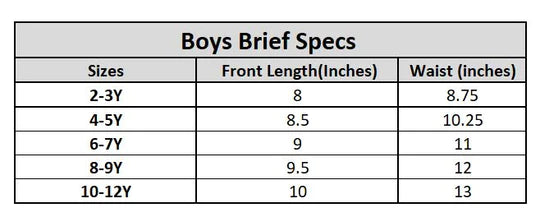 Boys Cotton Jersey Brief Pack of 2 Striper-White/Blue