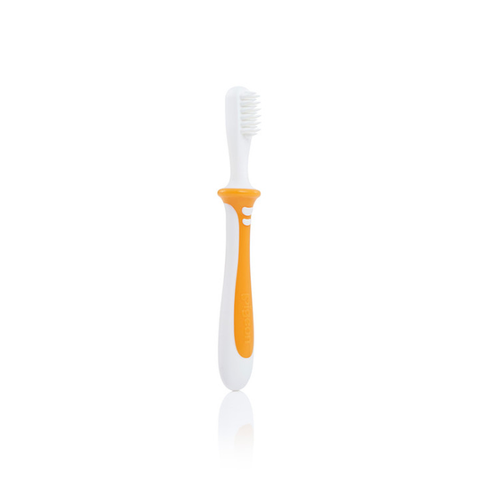 PIGEON TRAINING TOOTHBRUSH LESSON 2 ORANGE