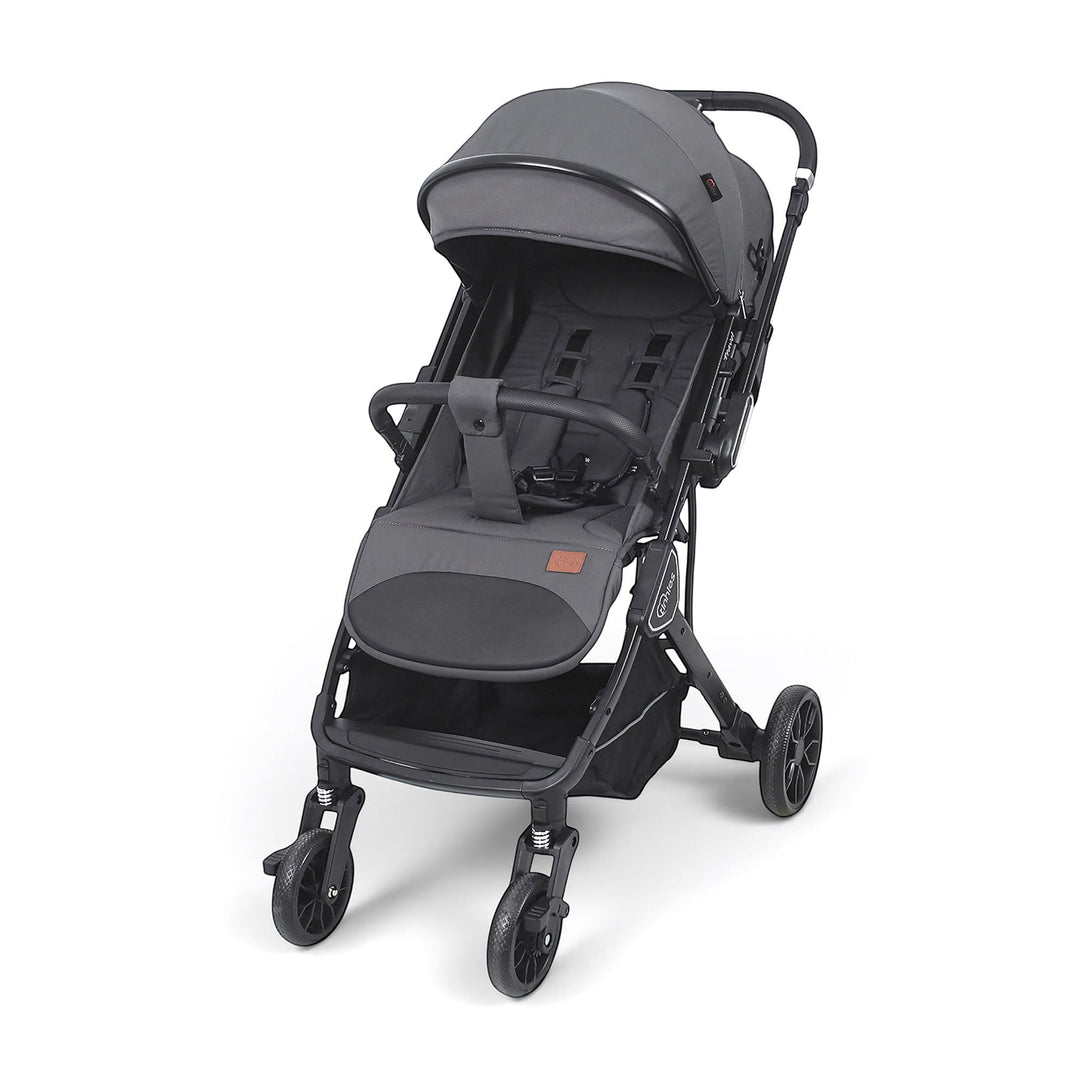 Stroller With Reversible Handle Grey T109-022