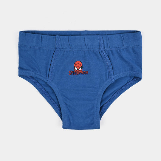 Boys Cotton Jersey Brief-Pack of 2-H.Grey/Blue