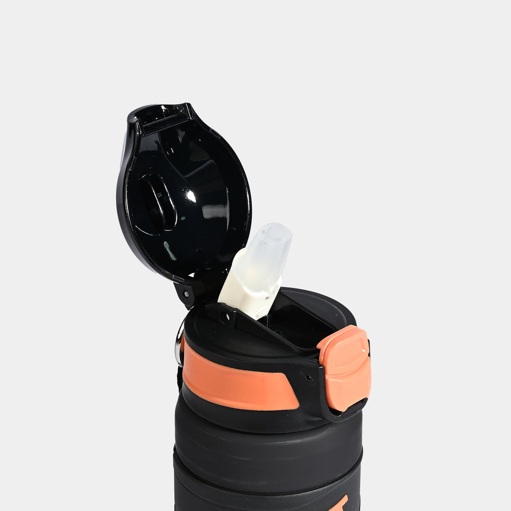 Character Water Bottle for Kids