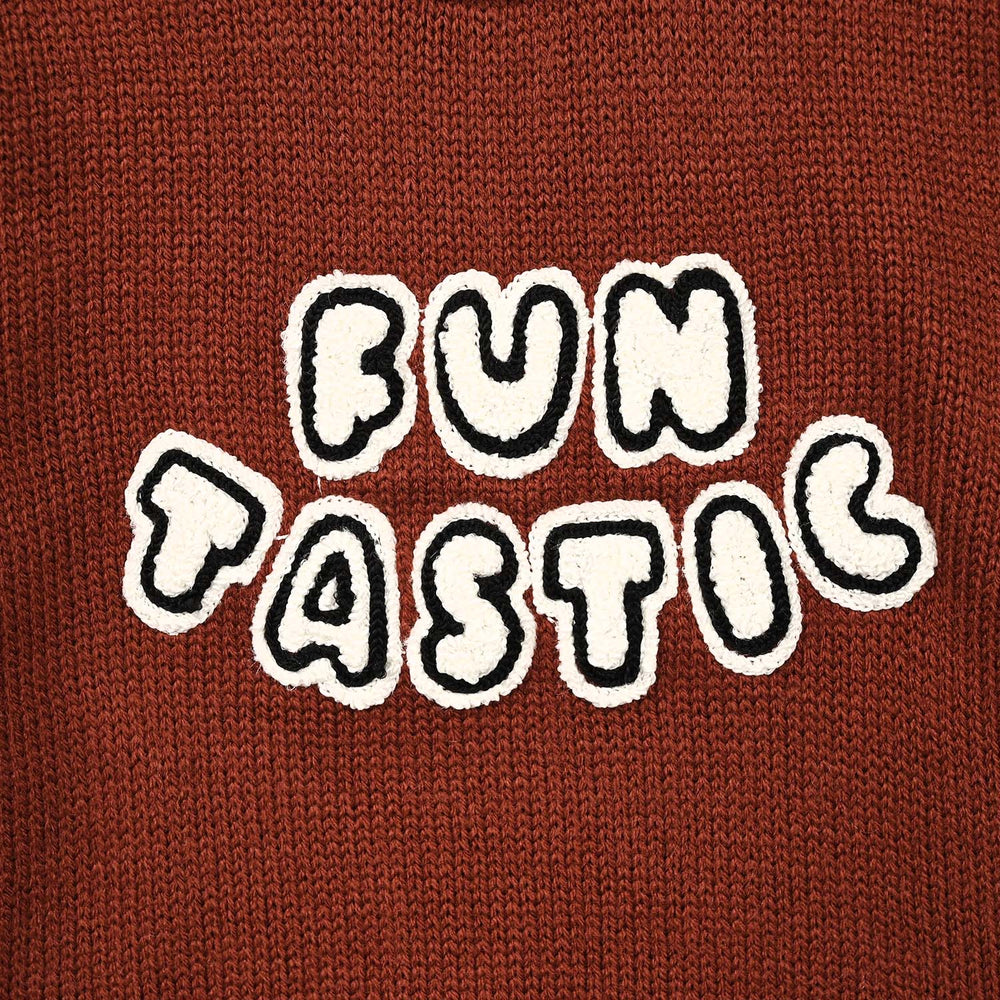 Infant Boys Acrylic Sweater - Funtastic - Reddish - Brown