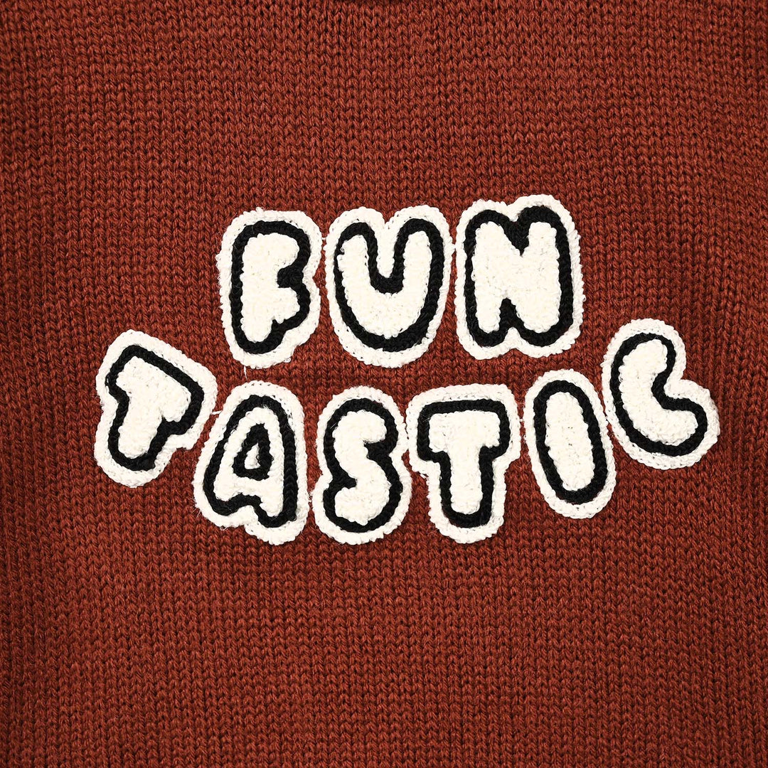 Infant Boys Acrylic Sweater - Funtastic - Reddish - Brown