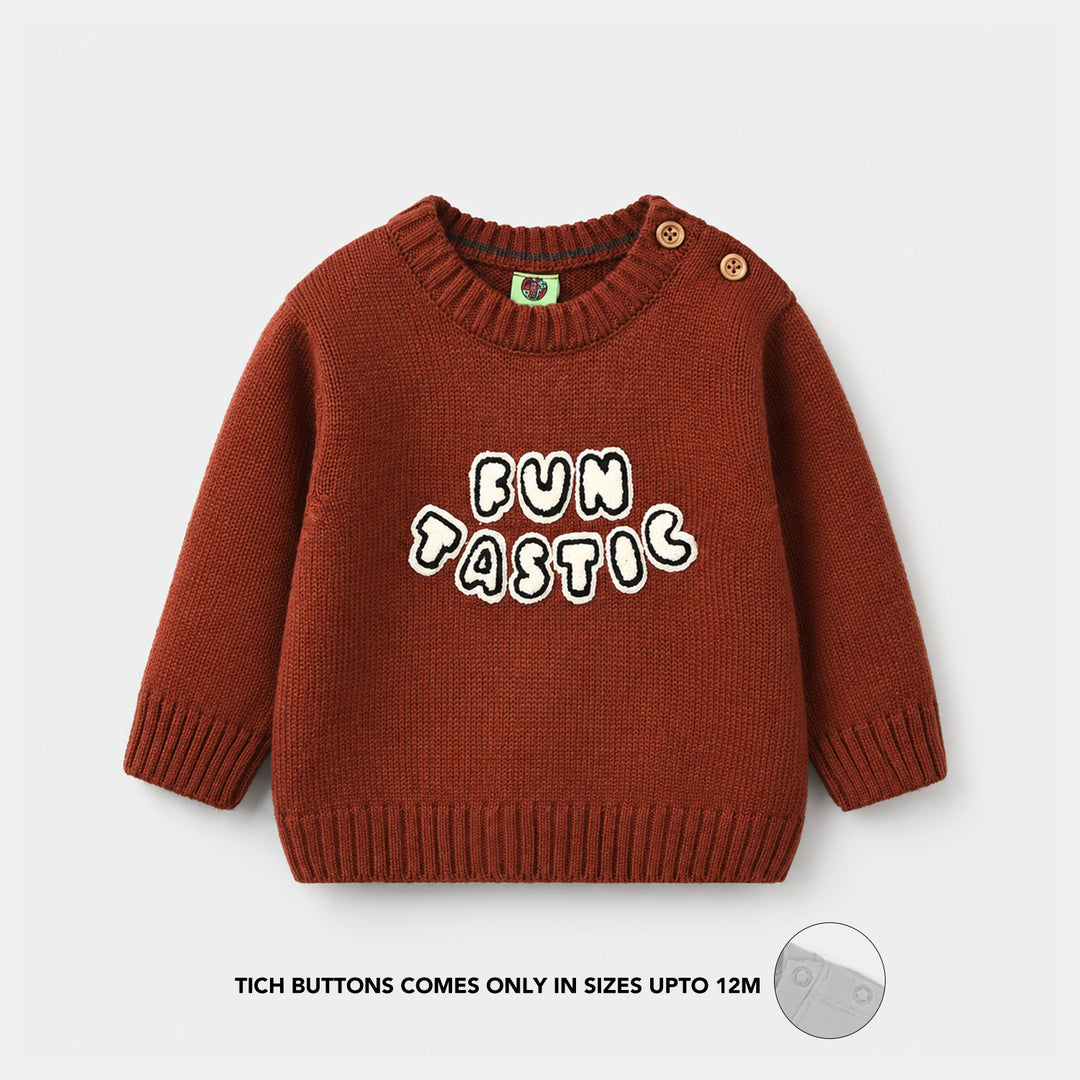 Infant Boys Acrylic Sweater - Funtastic - Reddish - Brown