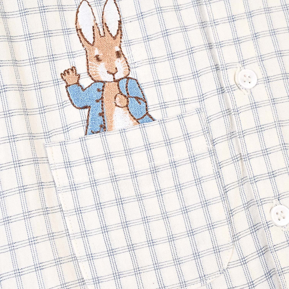 Infant Boys Yarn Dyed Woven Romper-Blue Checkered - White/Blue