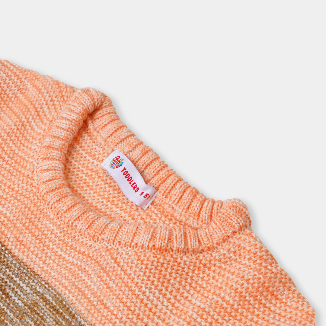 Girls Sweater BP29-22 - Multi